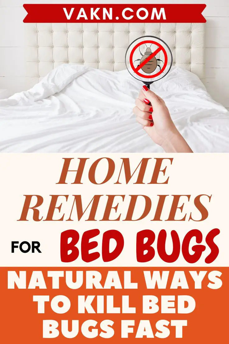 Home Remedies For Bed Bugs, Natural Ways To Kill Bed Bugs ...